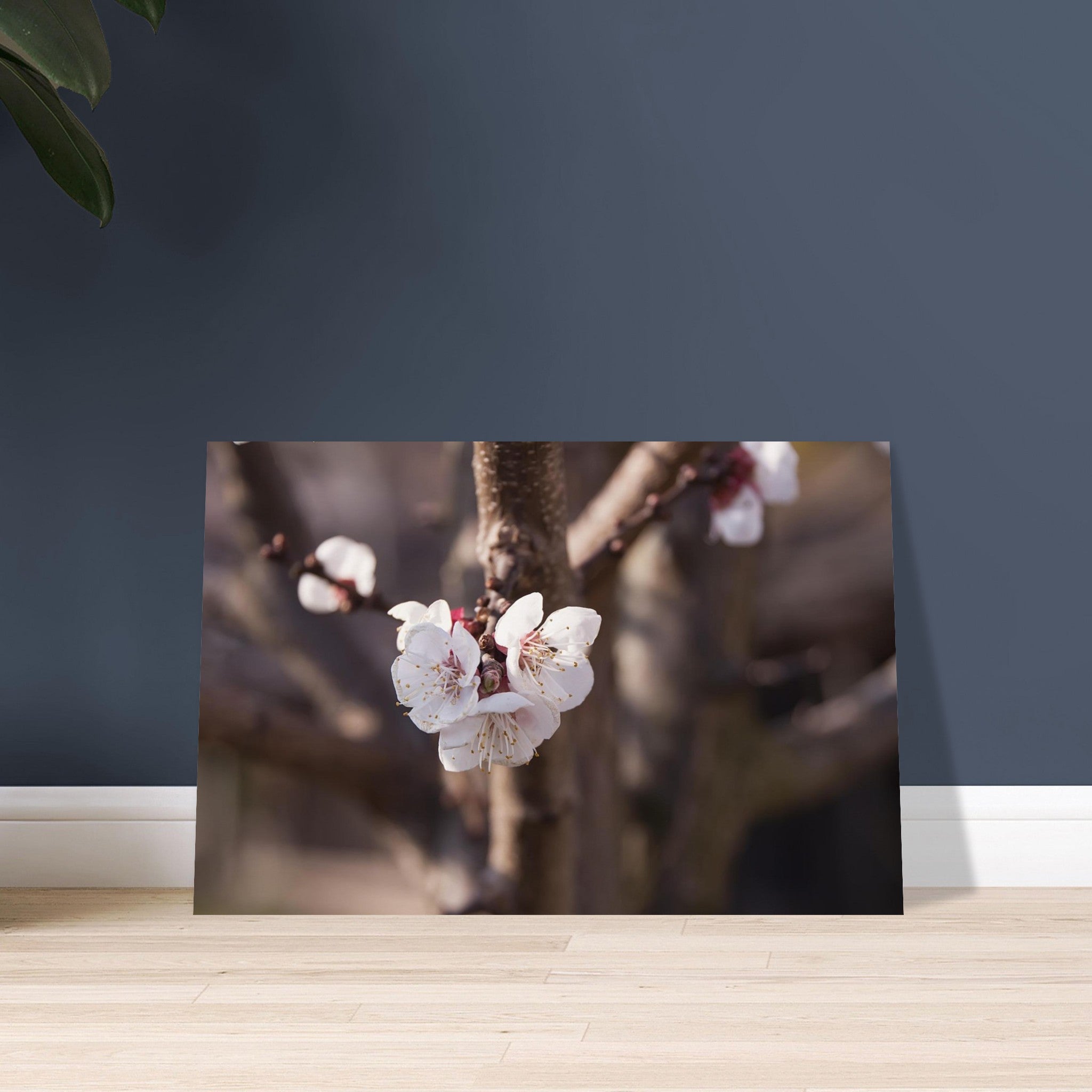 ae258b86-393f-4cfc-951b-72b76e5c4220