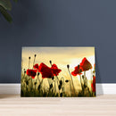 af838535-4478-4f96-a716-8bcb6a0adfb4