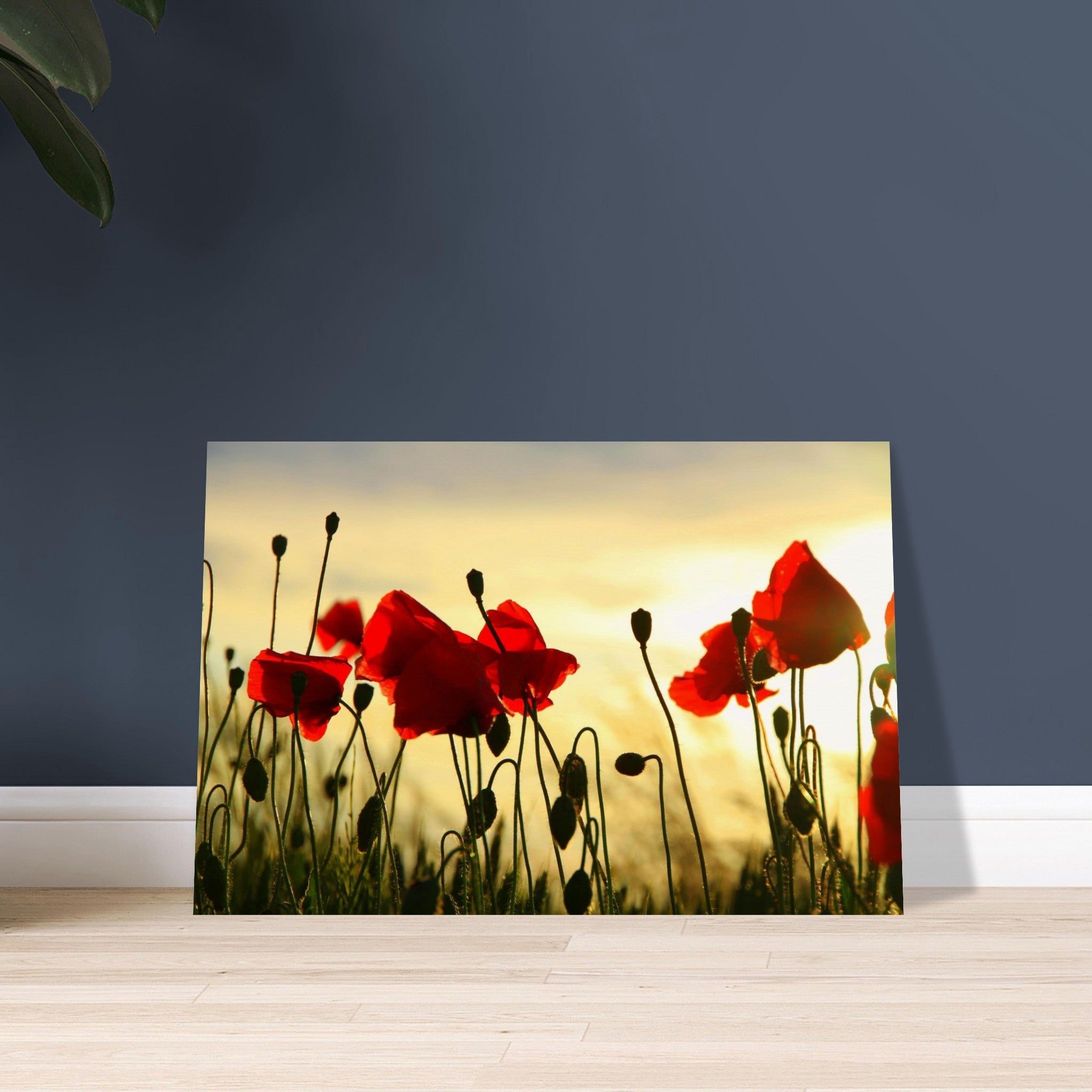 af838535-4478-4f96-a716-8bcb6a0adfb4