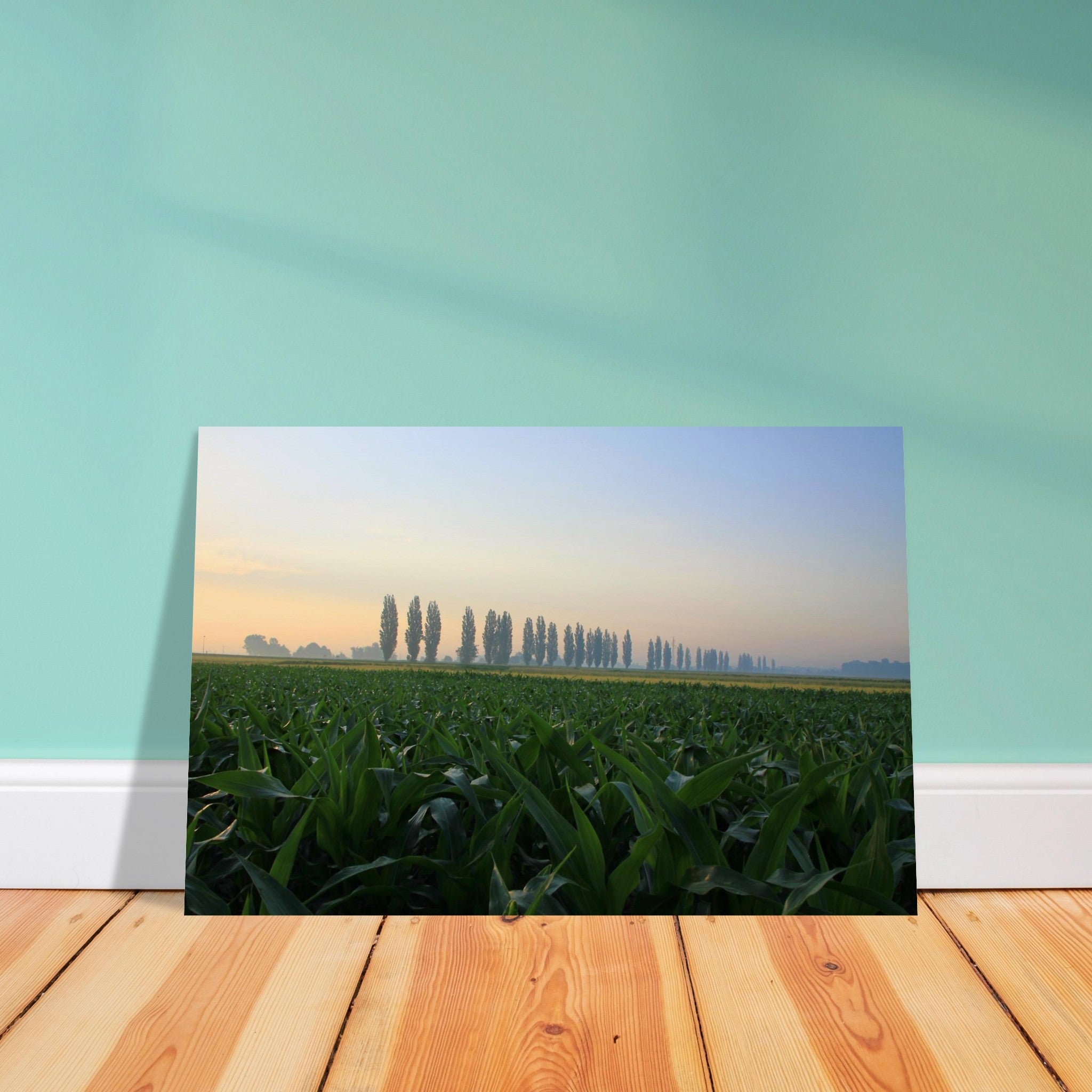 aff80cbc-dad4-445b-b0d8-37977dd39673