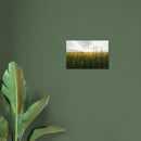 b1f6bd1a-3a11-4590-b014-029eb5f4b6a2