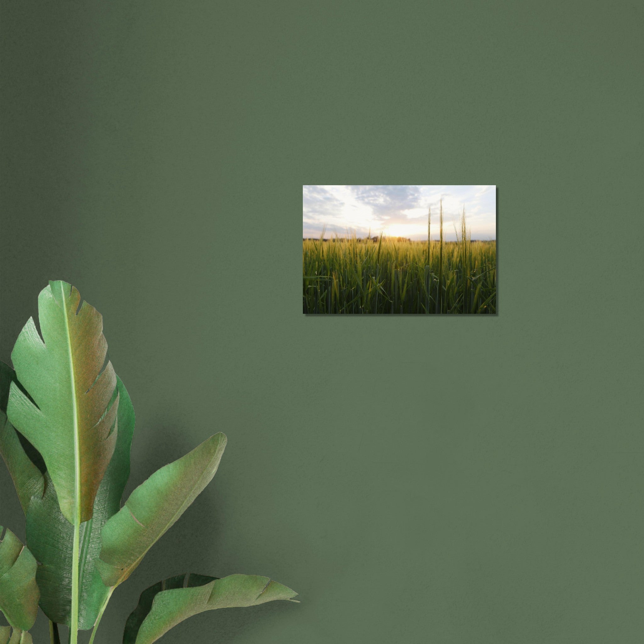 b1f6bd1a-3a11-4590-b014-029eb5f4b6a2