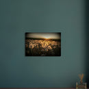 b46899f9-ca90-4194-85fe-0e2265ca5389