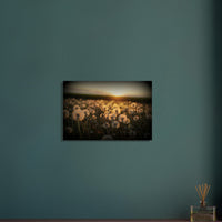 b46899f9-ca90-4194-85fe-0e2265ca5389