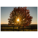 b5348f9d-0aa2-4e88-9529-961bd09f4732