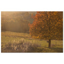 b69aa847-b2c2-4734-b313-5c990f224a9f