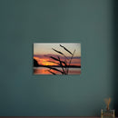 b6b2accb-94c1-481d-a8cd-2aed92be4b2d