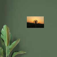 b6df3085-a00d-4c73-8ce2-a64866116398