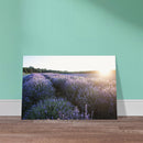 b6f3f3f4-e918-44ff-b952-b206159019df