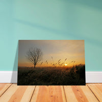 b88de09f-5683-46a5-8265-232622bd72ac