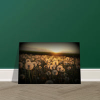 b8f23305-68e6-46d5-8514-71d7c9ea7d71