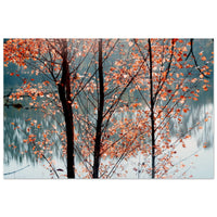 Copper orange autumn leaves on bare branches in front of a still misty lake in Prekmurje — BETVA fine art nature poster