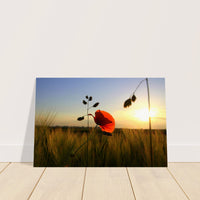 babbbe12-e724-4f3e-b097-5409d35aee34