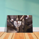 bae935a8-0711-4885-a9dc-55447d789dc3