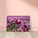 bea41550-2327-4314-9da1-4e6aa08c6e2d