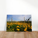 bf298b3c-cb22-465a-9ff0-69a0fbe055a6