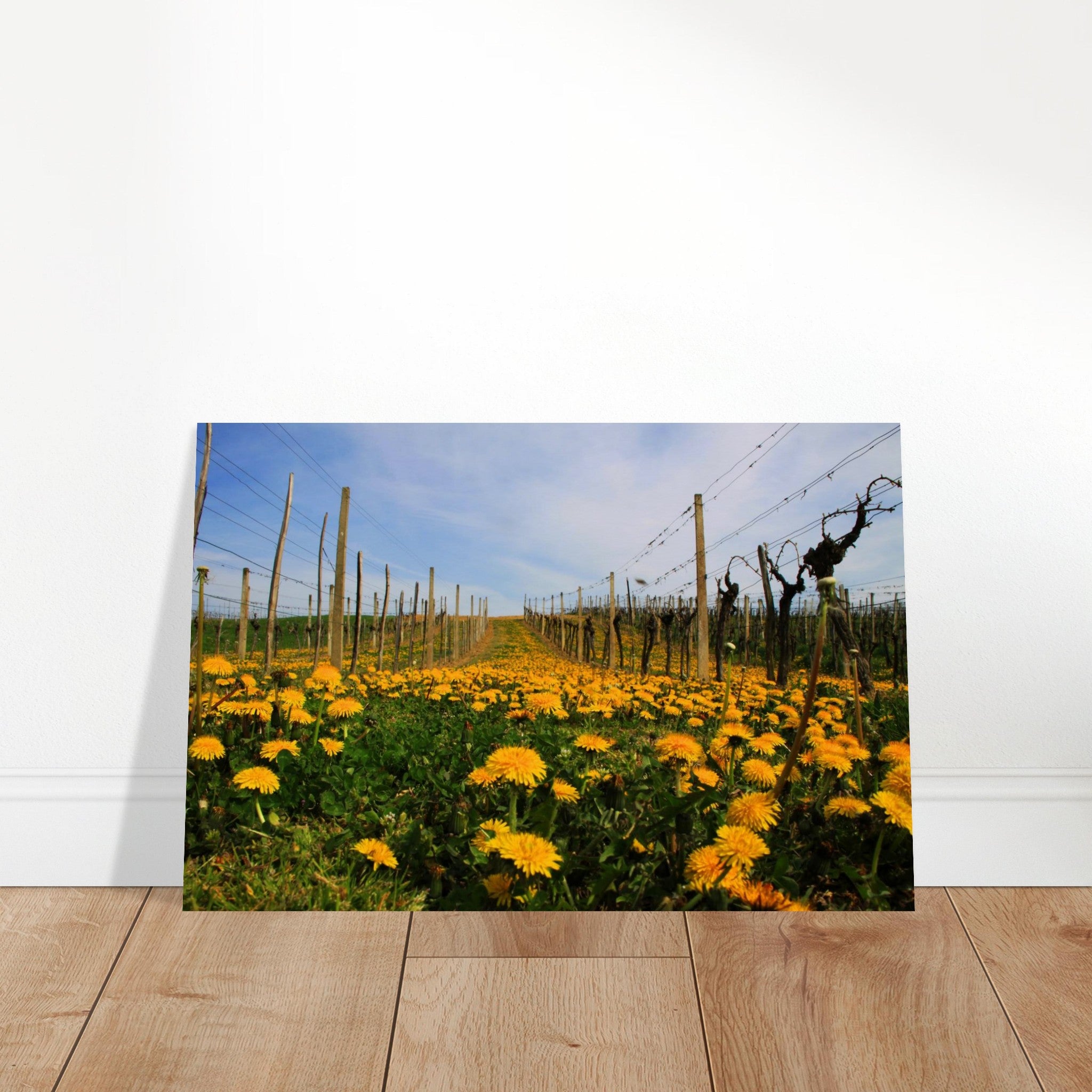 bf298b3c-cb22-465a-9ff0-69a0fbe055a6