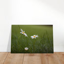 c009b913-cdf7-45ab-a27d-8a44470d88f5