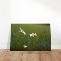 c009b913-cdf7-45ab-a27d-8a44470d88f5