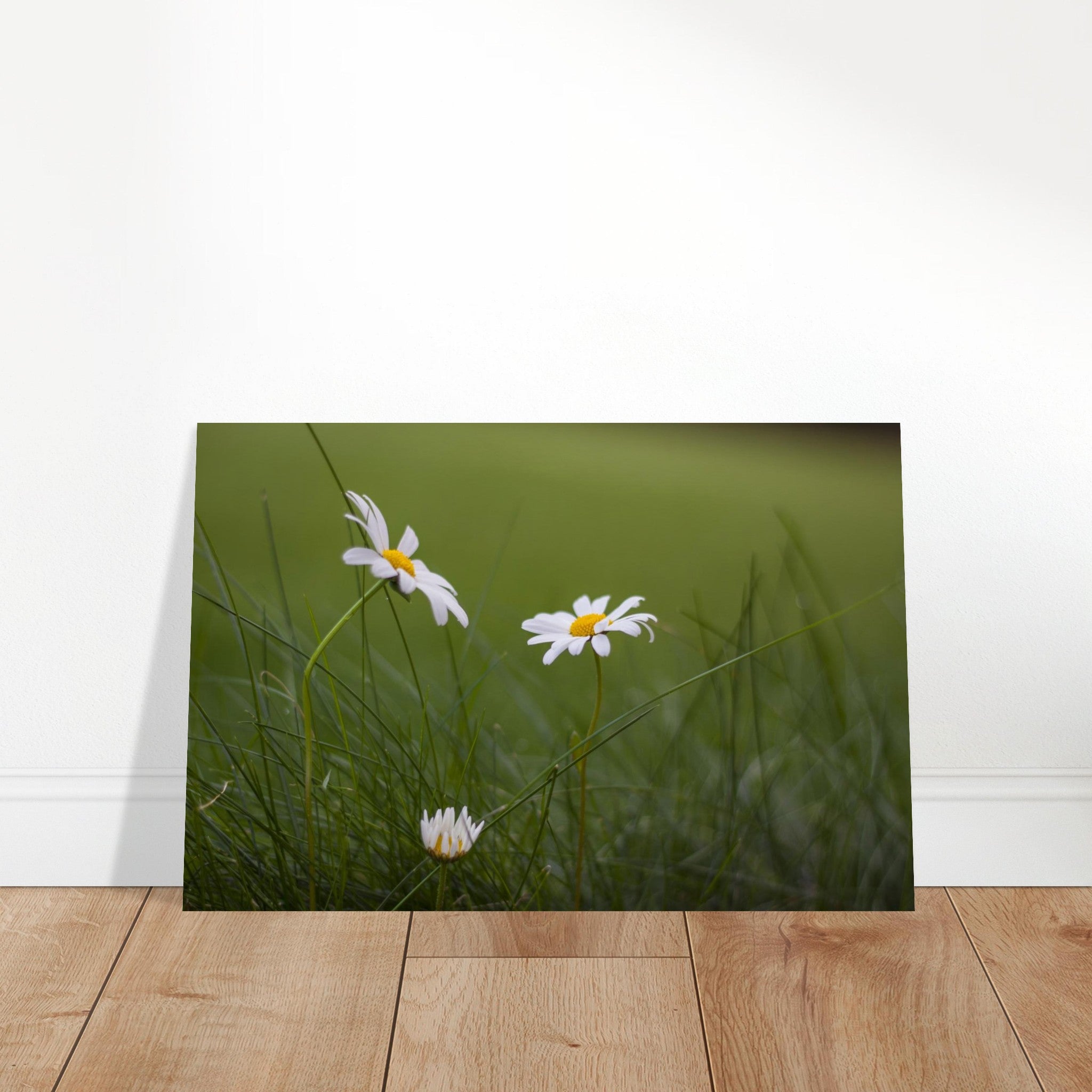 c009b913-cdf7-45ab-a27d-8a44470d88f5