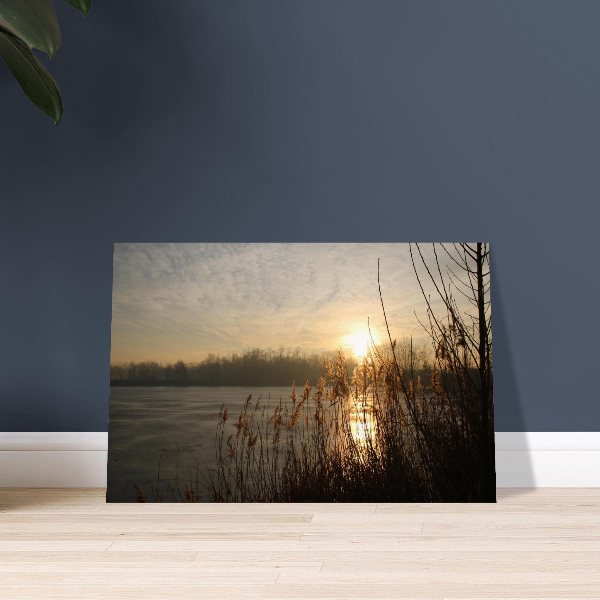 c01958e7-a058-4339-979e-c34af2cd1e3c