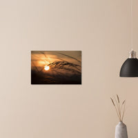 c2006fd7-8077-4db5-81fa-97ef7f69cf17