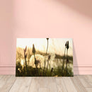 c2c4230d-3a3f-4efb-8a3f-f614412c019a