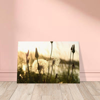 c2c4230d-3a3f-4efb-8a3f-f614412c019a