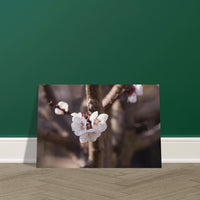 c336b7bb-3c24-4609-855e-4a5b10d757ea