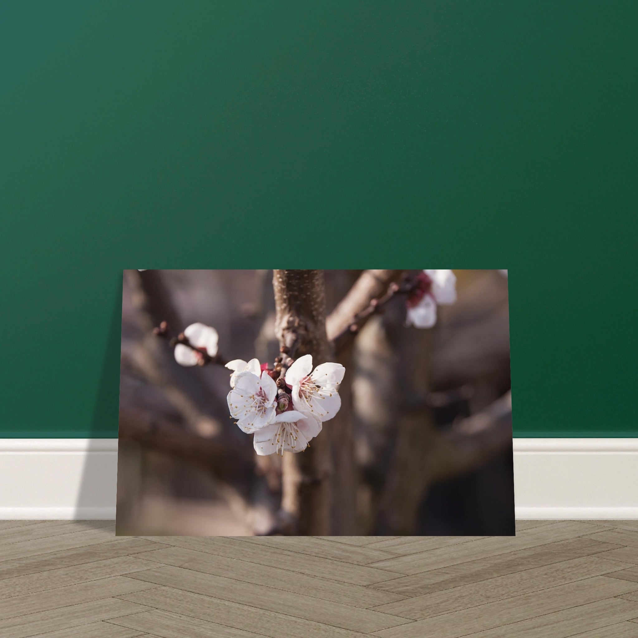 c336b7bb-3c24-4609-855e-4a5b10d757ea