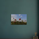 c4666897-e387-48f4-9afb-9866569de566