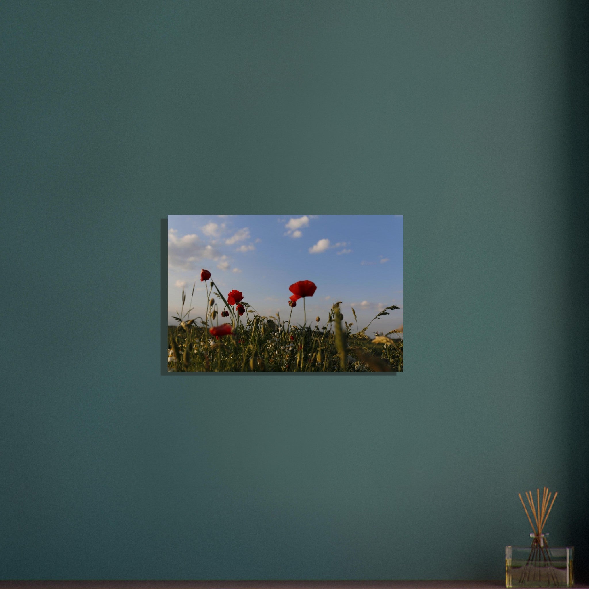 c4666897-e387-48f4-9afb-9866569de566