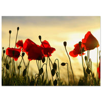 c57bec09-ee15-4d37-a583-94ae77b5fb04