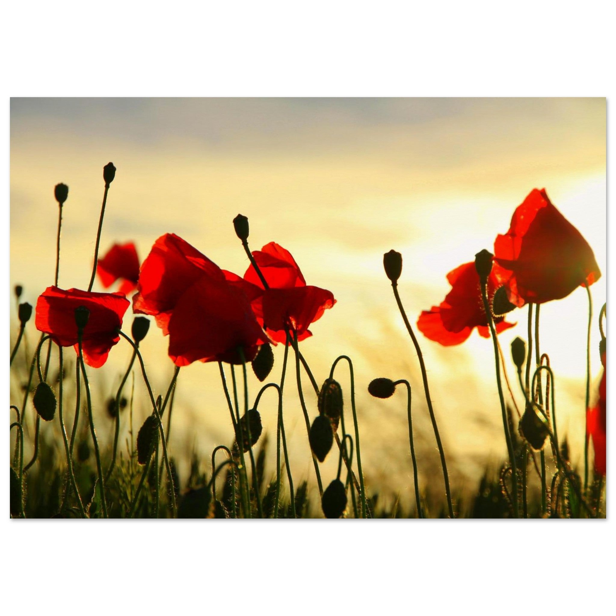 c57bec09-ee15-4d37-a583-94ae77b5fb04