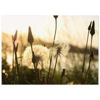 c68e4e79-1aa6-4a73-98a9-968bcc133ecf