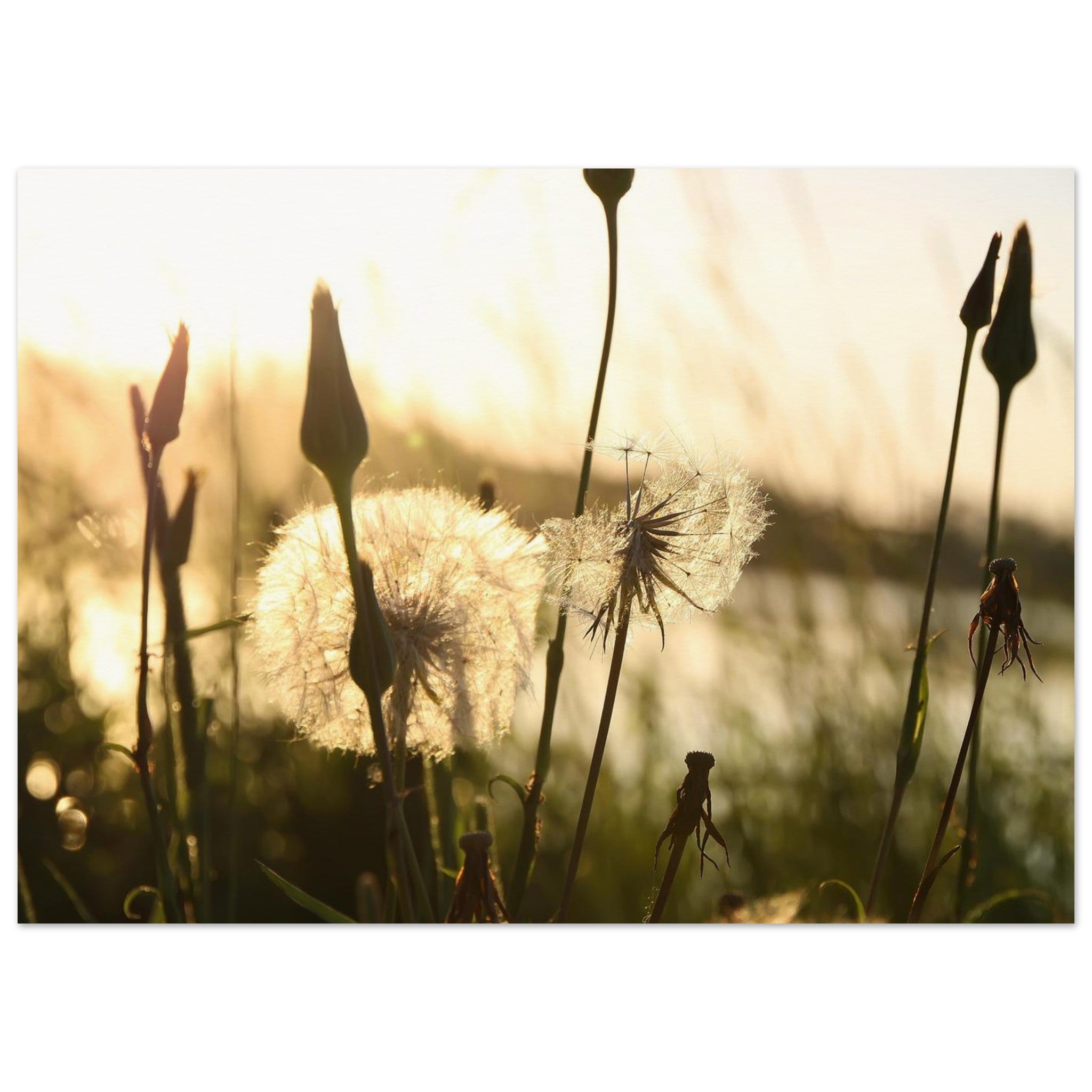 c68e4e79-1aa6-4a73-98a9-968bcc133ecf