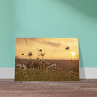 c6d9b61b-6df4-42e9-8976-3553923595a2