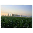 c6e55703-9f95-4351-b8ae-73da681da2fd