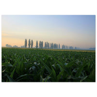 c6e55703-9f95-4351-b8ae-73da681da2fd