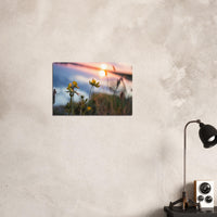 c8aa358f-dd2b-49b2-af49-54ffcf80da5d