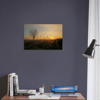 c8b9968e-a32d-4303-8030-823a954f0d42