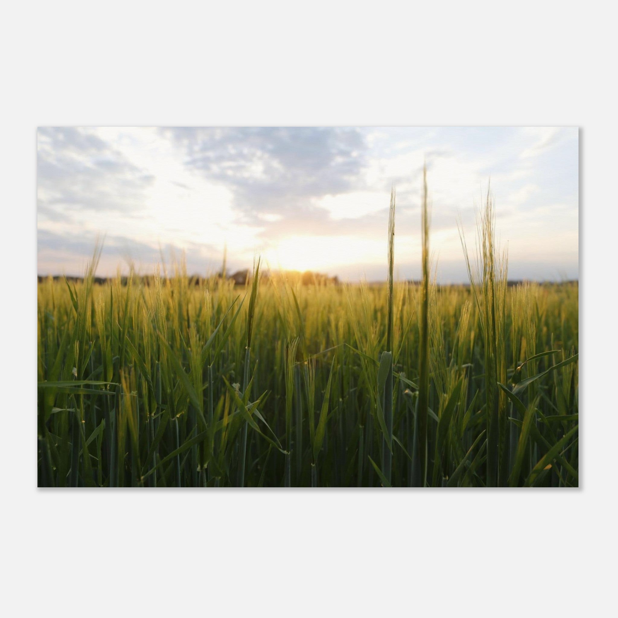 cad228dc-e28c-4c6f-9d2d-623682f15238