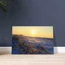 Frosted grass blades glowing in low golden sunlight during a cold morning in Prekmurje, Slovenia — BETVA fine art nature poster