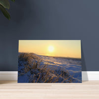 Frosted grass blades glowing in low golden sunlight during a cold morning in Prekmurje, Slovenia — BETVA fine art nature poster