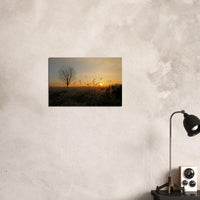 cf3b4650-af9f-4b4e-9417-b5730ce154bf