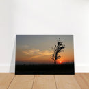 d0d0d256-d15b-440e-9b94-7ebd299c3175