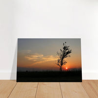 d0d0d256-d15b-440e-9b94-7ebd299c3175