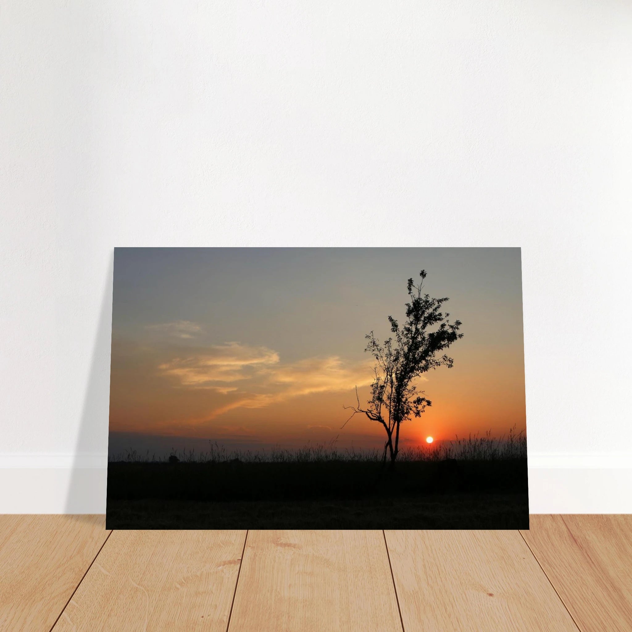 d0d0d256-d15b-440e-9b94-7ebd299c3175