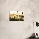 d2753a8a-b271-450d-a333-6f158d7884df