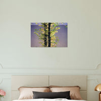 d32126c7-5335-4a13-b223-9b591c81a8ba